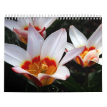 NY Spring Collection 2009 Wall Calendars