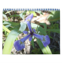 NY through Photos Wall Calendar