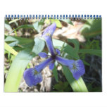 NY through Photos Wall Calendar
