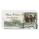 ny winter tree photo greeting card