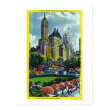 NYC Central Park View of 5th Ave Hotels Postcards