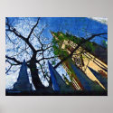 NYC Trinity Church Poster print