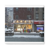 NYC winter magnet magnets