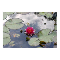 Nymphaea Gloriosa posters