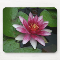 Nymphaea tetragona mousepads