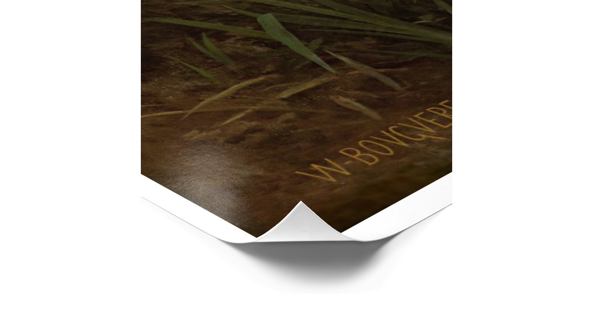 nymphs and satyr william adolphe bouguereau poster zazzle birthday party invites
