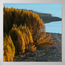 NZ-Sander-Koot- Print