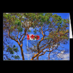 O Canada - Cards cards