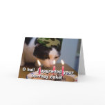 O hai!  I upgraded your berfday cake cards