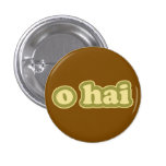 O HAI Lolcat Speak Flair Pinback Button buttons