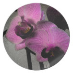 o party plates
