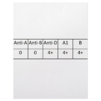 O positive letterhead