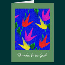 O Spring cards
