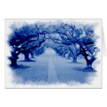 Oak Alley Cards