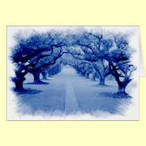 Oak Alley cards
