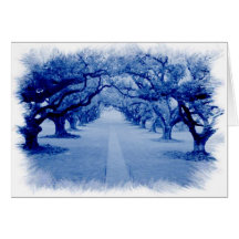Oak Alley Cards
