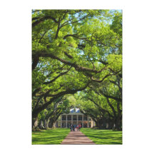Oak Alley Plantation House Gallery Wrapped Canvas