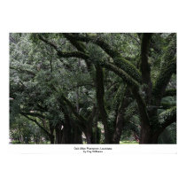 Oak Alley Plantation, Louisiana posters by daysrays Oak Alley Plantation, Louisiana posters