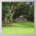 Oak Alley Plantation Print