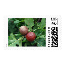 Oak Berries postage by AryadnaDesign Oak Berries postage