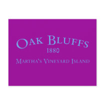 Oak Bluffs Incorporated 1880 Postcard
