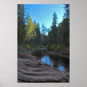 Oak Creek  at West Fork 1216 posters