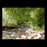 Oak Creek, Sedona Nature Photography Print