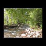Oak Creek, Sedona Nature Postcard