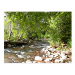 Oak Creek, Sedona Nature Postcard