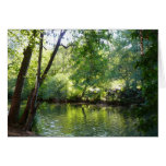 Oak Creek, Sedona Photography Note Card
