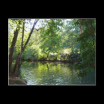 Oak Creek, Sedona Postcard