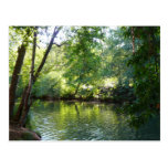 Oak Creek, Sedona Postcard