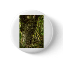 Oak Father Pinback Button