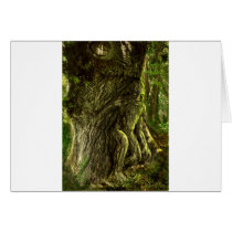 Oak Father Greeting Card