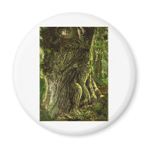 Oak Father Magnet