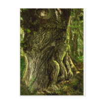 Oak Father Post Card