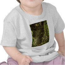 Oak Father Tee Shirts