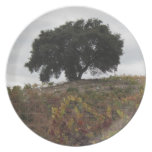 Oak in Autumn Vineyard Dinner Plates