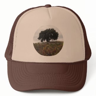 Oak in Autumn Vineyard hat