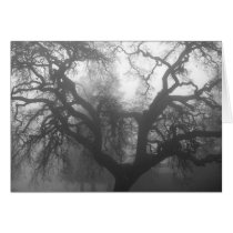 Oak, in fog cards