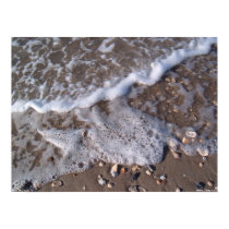 Oak Island, North Carolina - sand and shells posters by bpgisme Oak Island, North Carolina - sand and shells posters