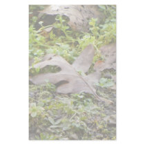 Oak Leaf and Chickweed Personalized Stationery