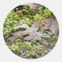 Oak Leaf and Chickweed Sticker