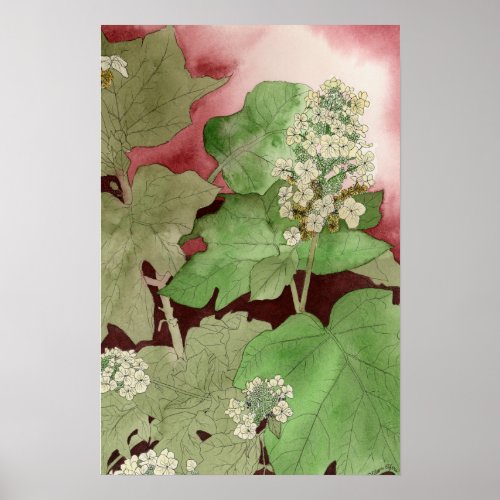 Oak Leaf Hydrangea Poster Prints print