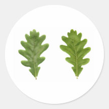 Oak leaf stickers