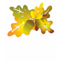 oak leaves t-shirts by VioDeSign oak leaves t-shirts