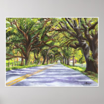 Oak Lined Road Poster