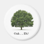 Oak Magnet