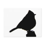 Oak Titmouse black & white Postcard