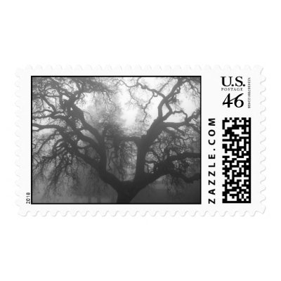 oak tree at sunrise, in fog postage by GKGallery